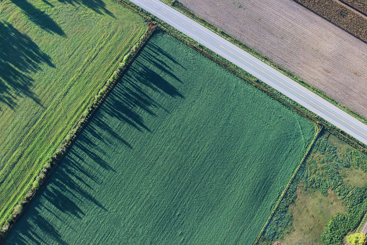 Aerial view of farmland and open plots
