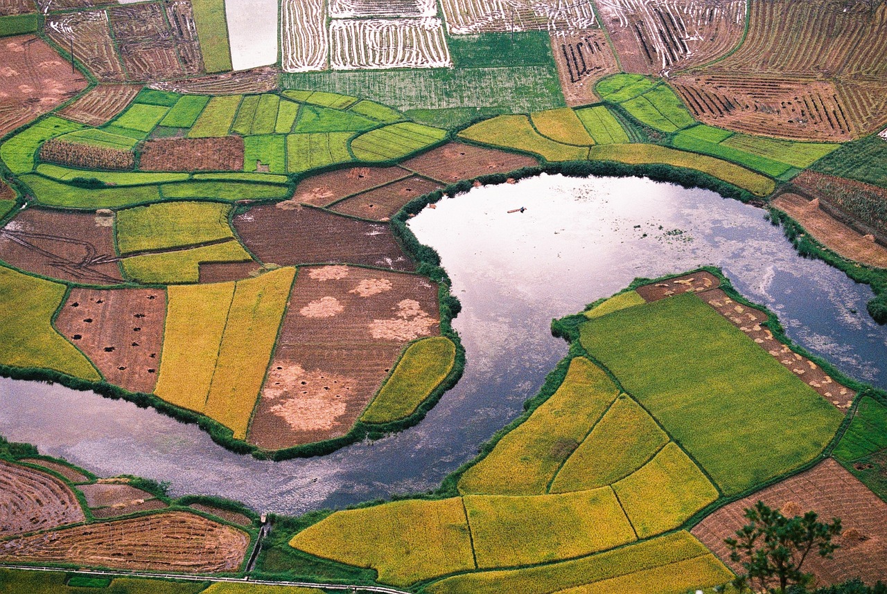 Aerial view of farmland plots and a waterway