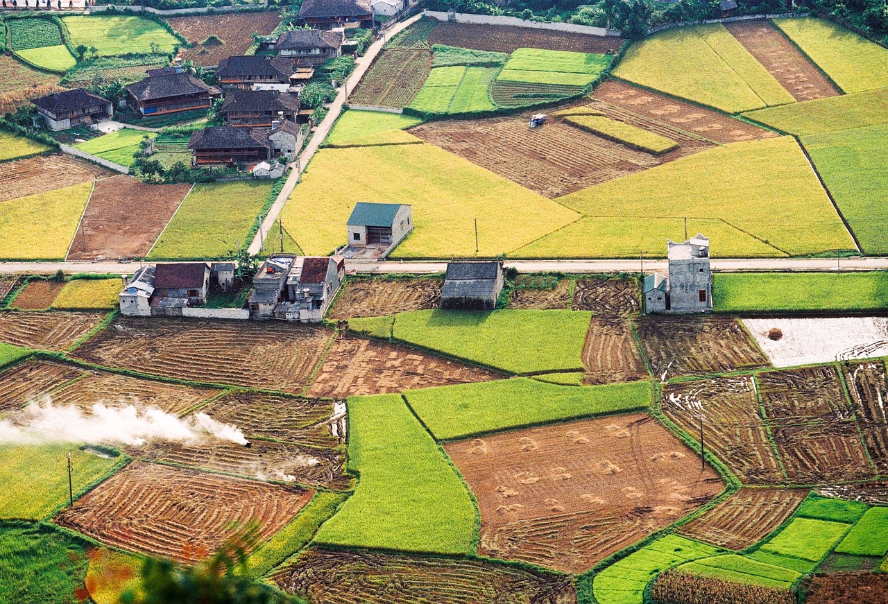 Farmland plots with boundary paths near a village